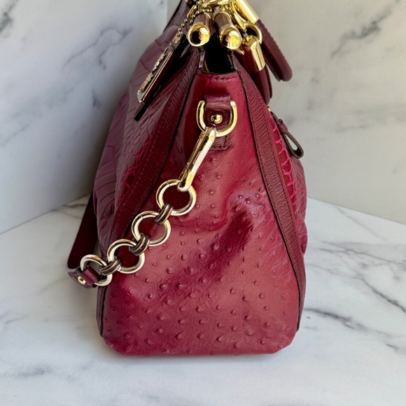 Coach Limited Edition Pinnacle Caroline Ostrich and Alligator Embossed Satchel - Picture 2 of 8